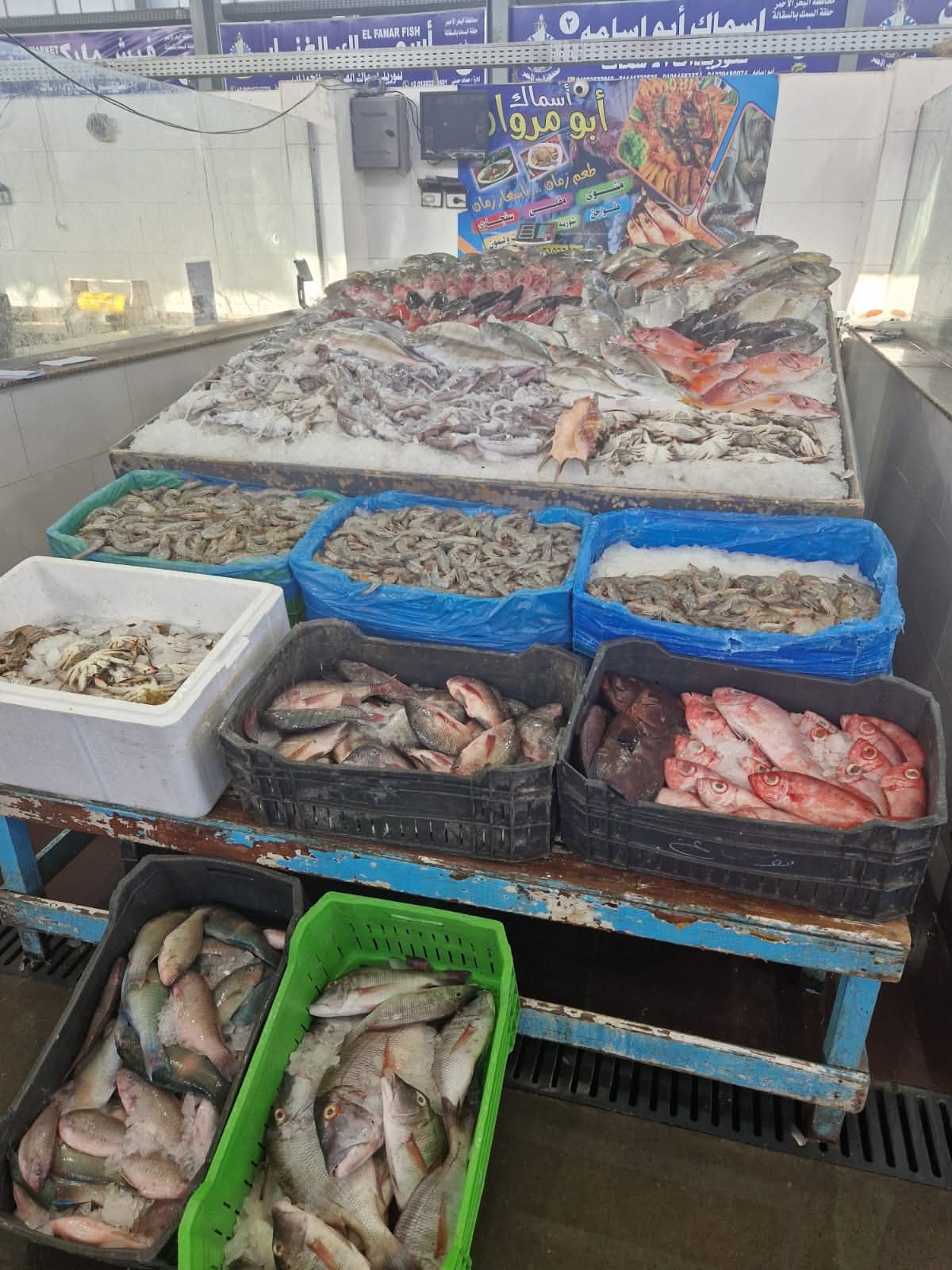 Hurghada City Tour gallery 4