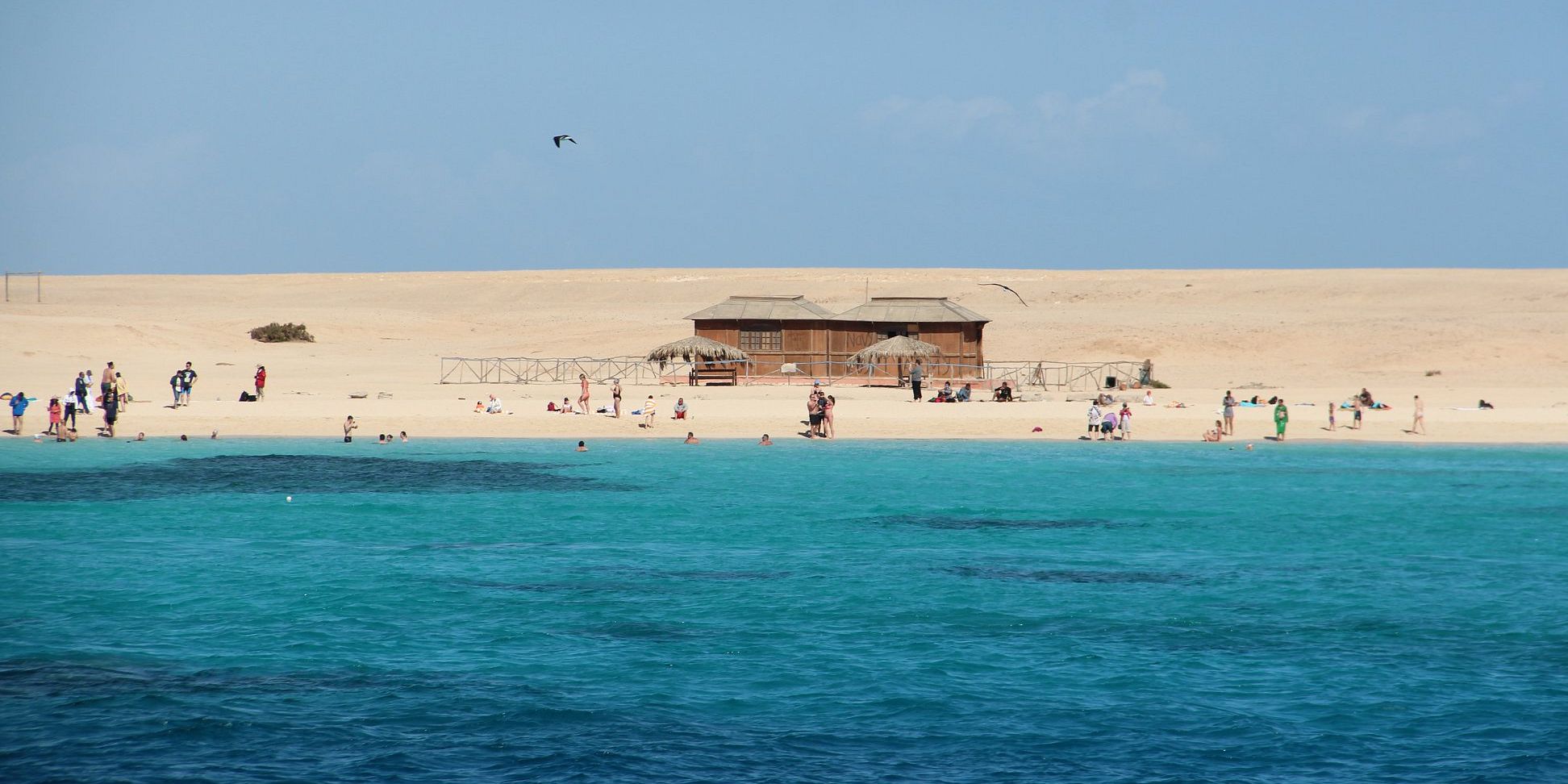 Paradise Island Snorkeling Trip gallery 4