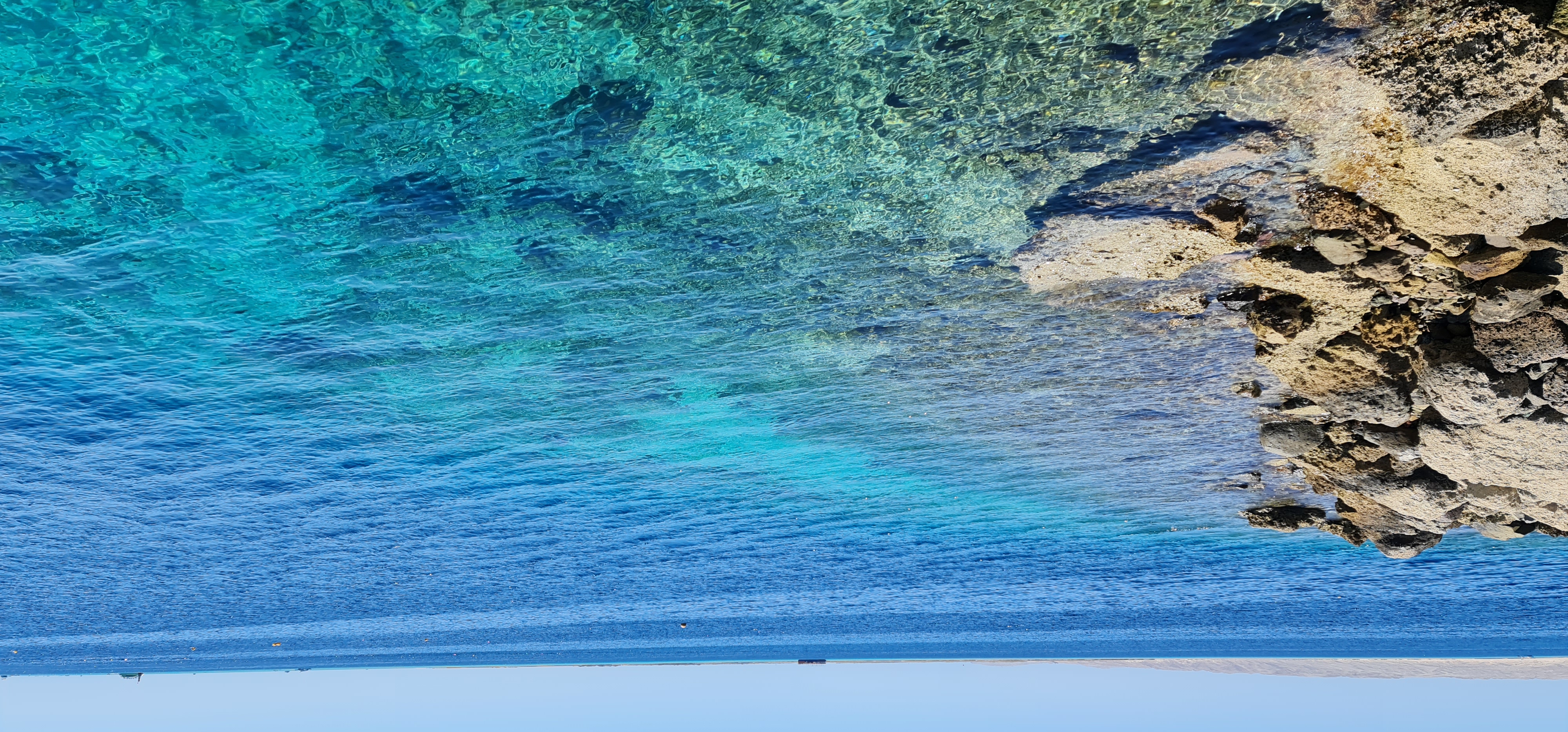 Dolphin Tour, Swim with Dolphins Tour in Hurghada gallery 4