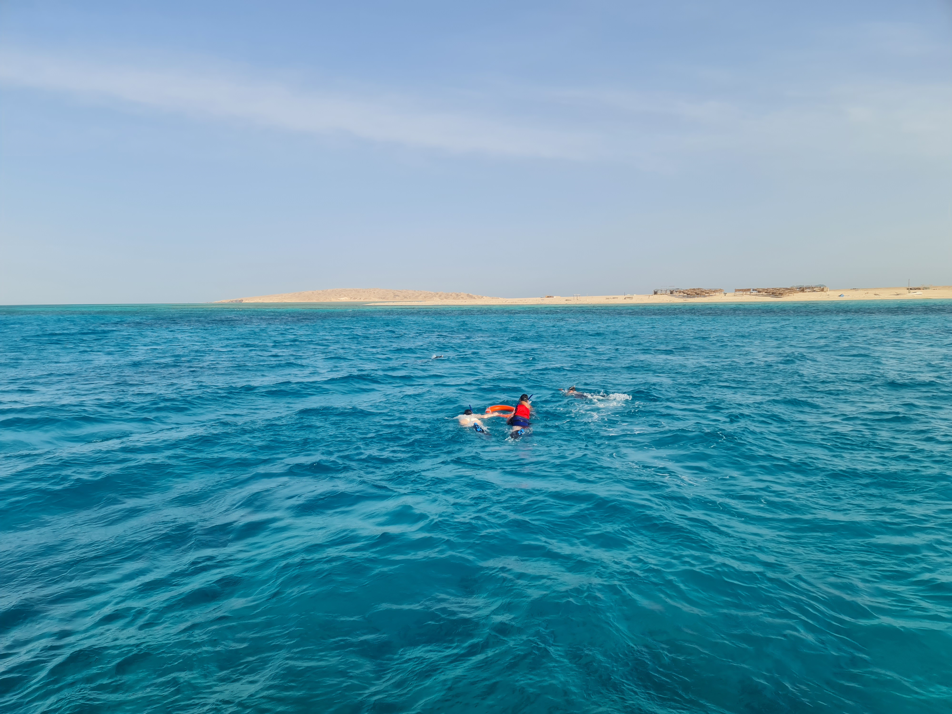 Dolphin Tour, Swim with Dolphins Tour in Hurghada gallery 2
