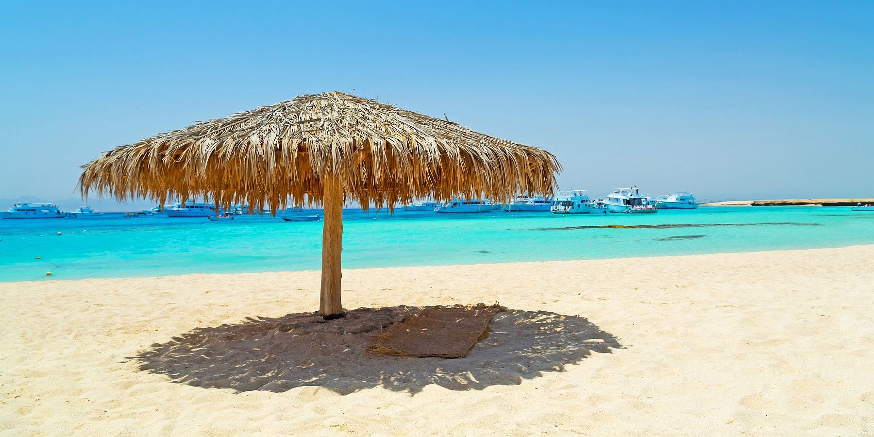 Paradise Island Snorkeling Trip gallery 2